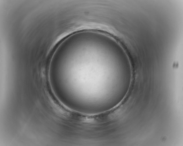 X0000092091505200709121502