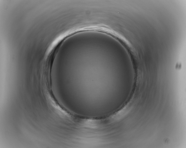 X0000092091506200709121502