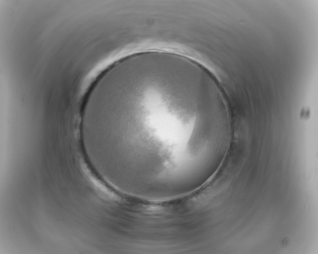 X0000092091507200709121502