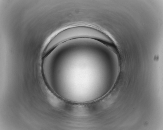 X0000092091508200709121502