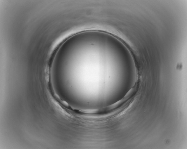 X0000092091510200709121502