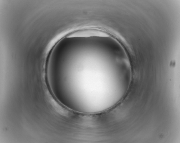 X0000092091512200709121502