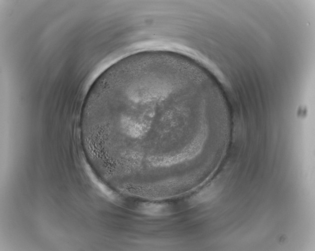 X0000092091513200709121502