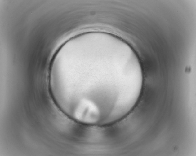 X0000092091514200709121502