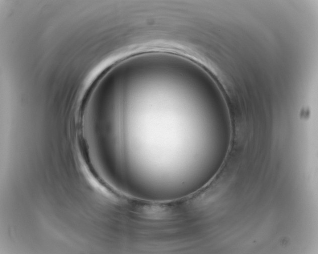 X0000092091515200709121502