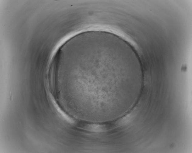 X0000092091517200709121502