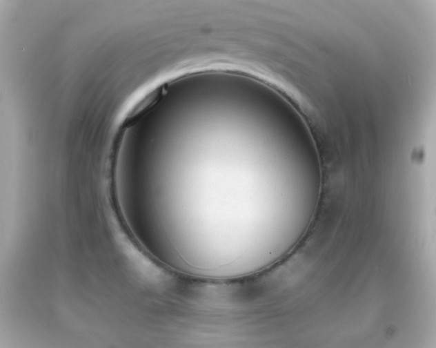 X0000092091518200709121502