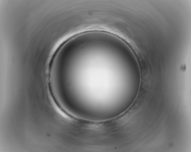 X0000092091519200709121502