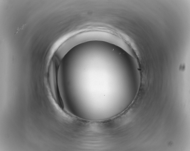 X0000092091520200709121502