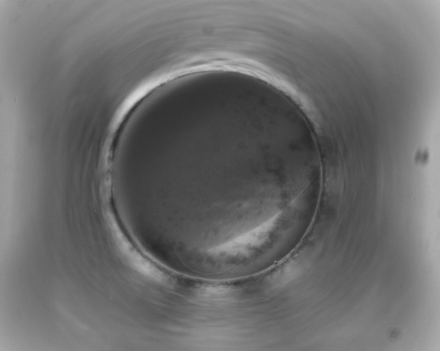 X0000092091522200709121502