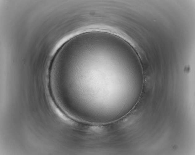 X0000092091523200709121502