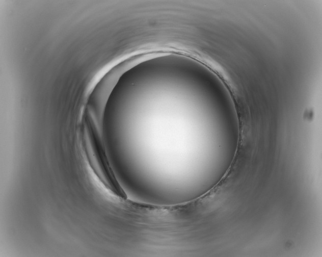 X0000092091524200709121502