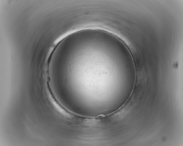 X0000092091526200709121502