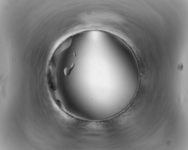 X0000092091527200709121502