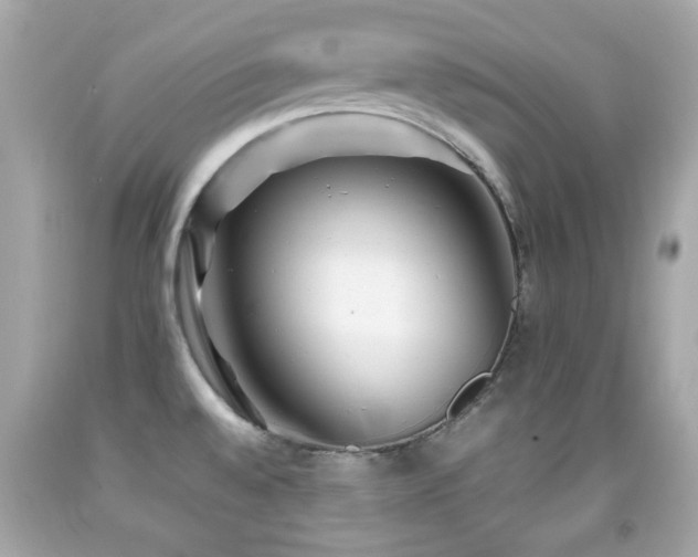 X0000092091528200709121502