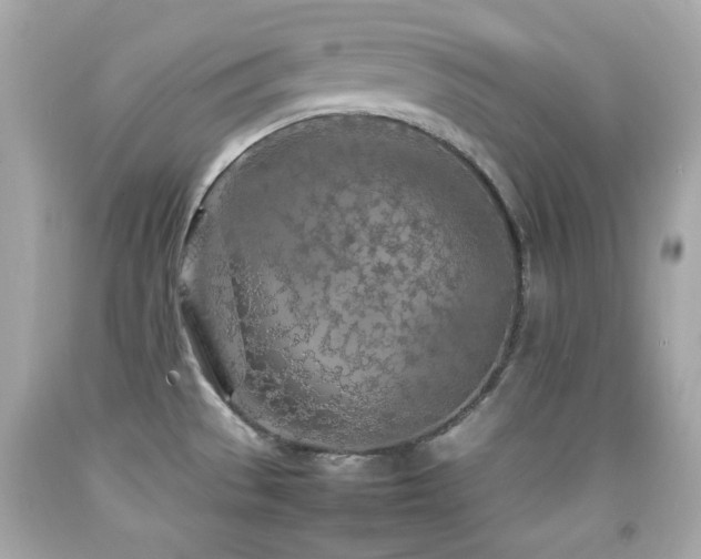 X0000092091529200709121502