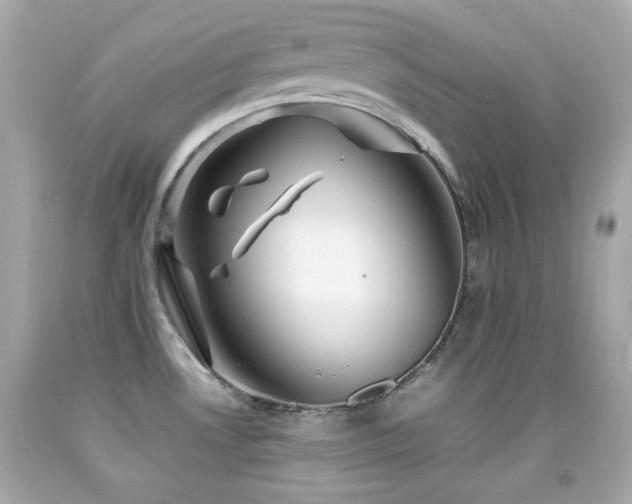 X0000092091530200709121502