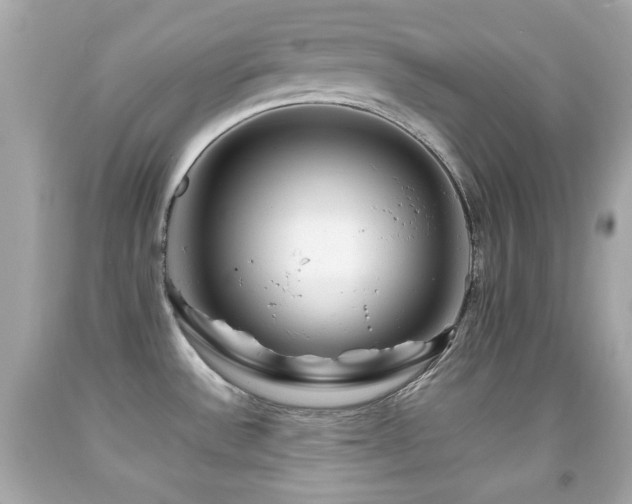 X0000092091532200709121502