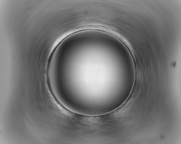 X0000092091533200709121502