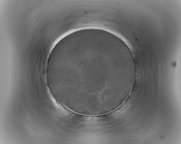 X0000092091534200709121502