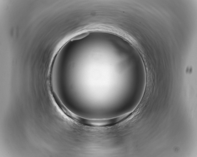 X0000092091536200709121502
