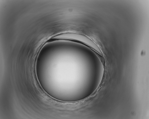 X0000092090001200709191255
