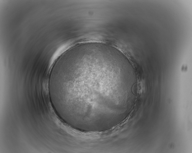 X0000092090004200709191255