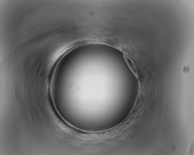 X0000092090005200709191255