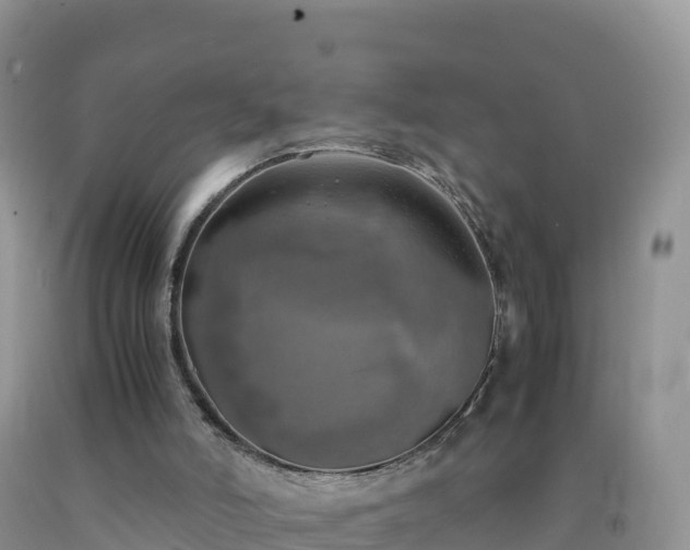 X0000092090006200709191255
