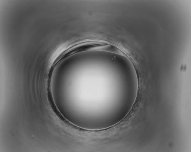 X0000092090007200709191255