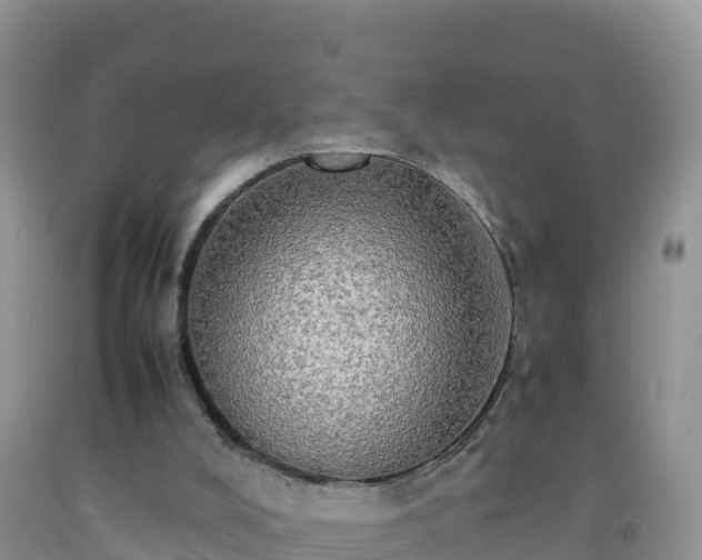 X0000092090008200709191255