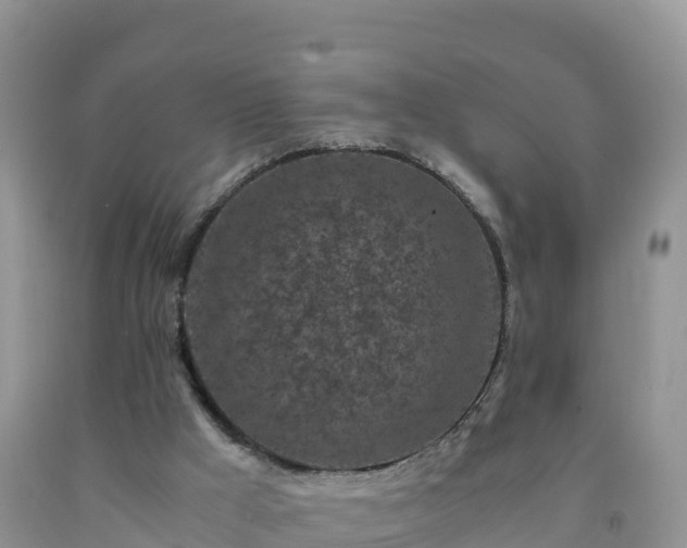 X0000092090009200709191255