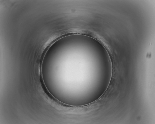 X0000092090011200709191255