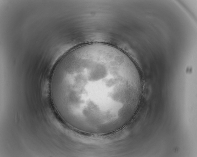 X0000092090012200709191255