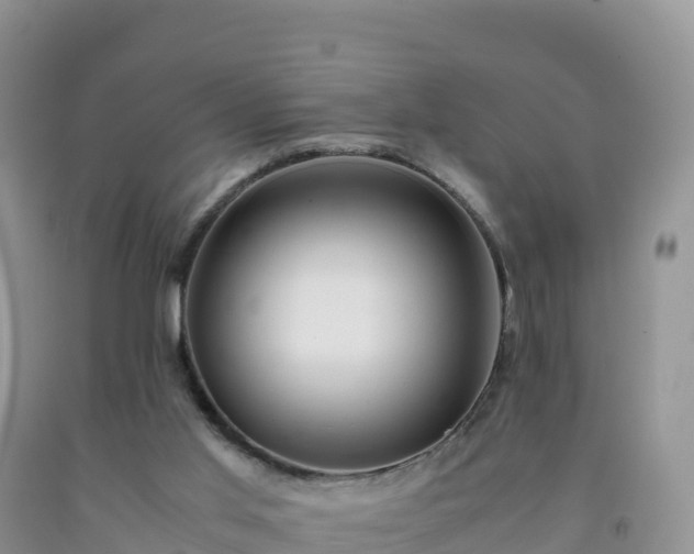 X0000092090013200709191255