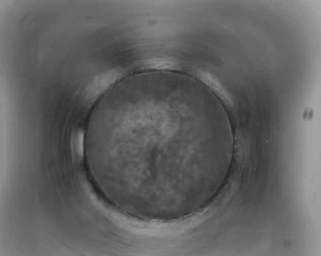 X0000092090014200709191255