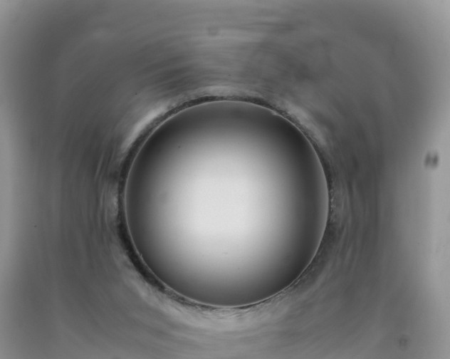 X0000092090015200709191255
