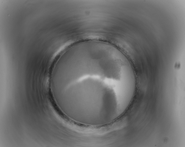 X0000092090016200709191255