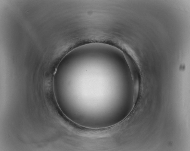 X0000092090017200709191255