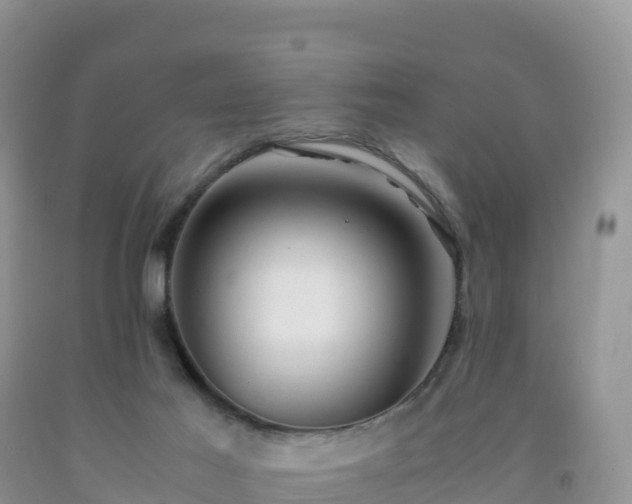 X0000092090021200709191255