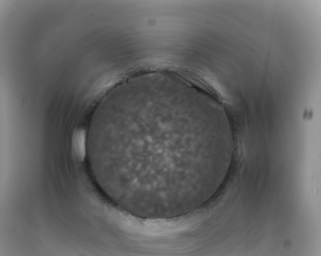 X0000092090022200709191255