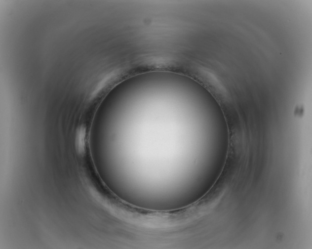 X0000092090024200709191255