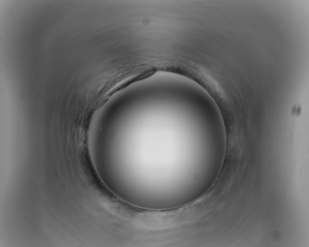 X0000092090025200709191255