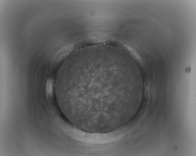 X0000092090026200709191255