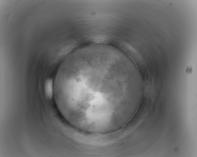X0000092090028200709191254