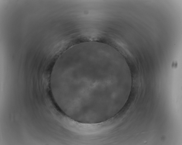 X0000092090030200709191254
