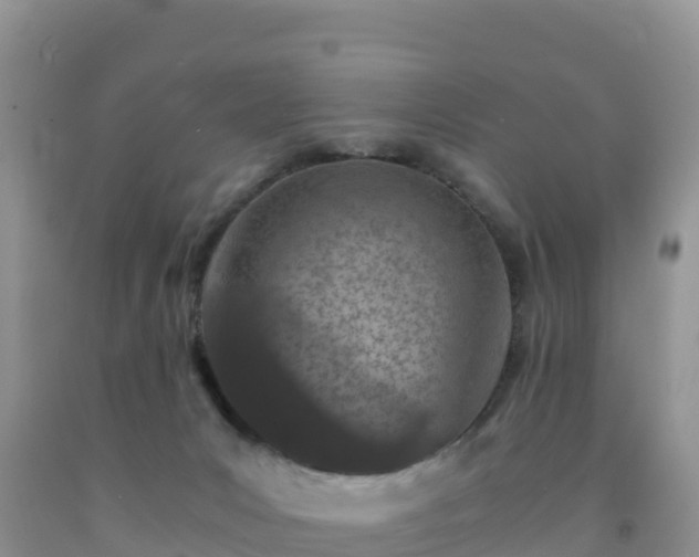 X0000092090031200709191254