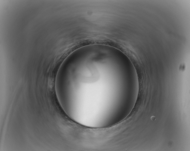 X0000092090033200709191254