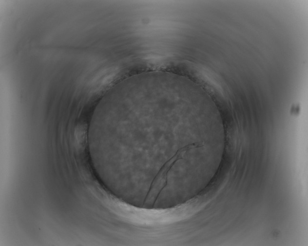 X0000092090034200709191254