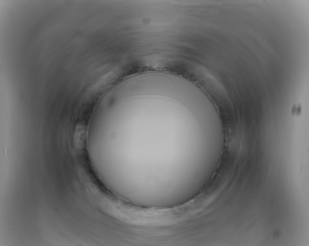 X0000092090036200709191254